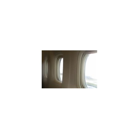 Professional Plastics Bronze#5184 Abrasion-Resistant 2 Sides Prolens Polycarbonate Halog, 0 SPCAR2BZ5184.125X48X96HAL